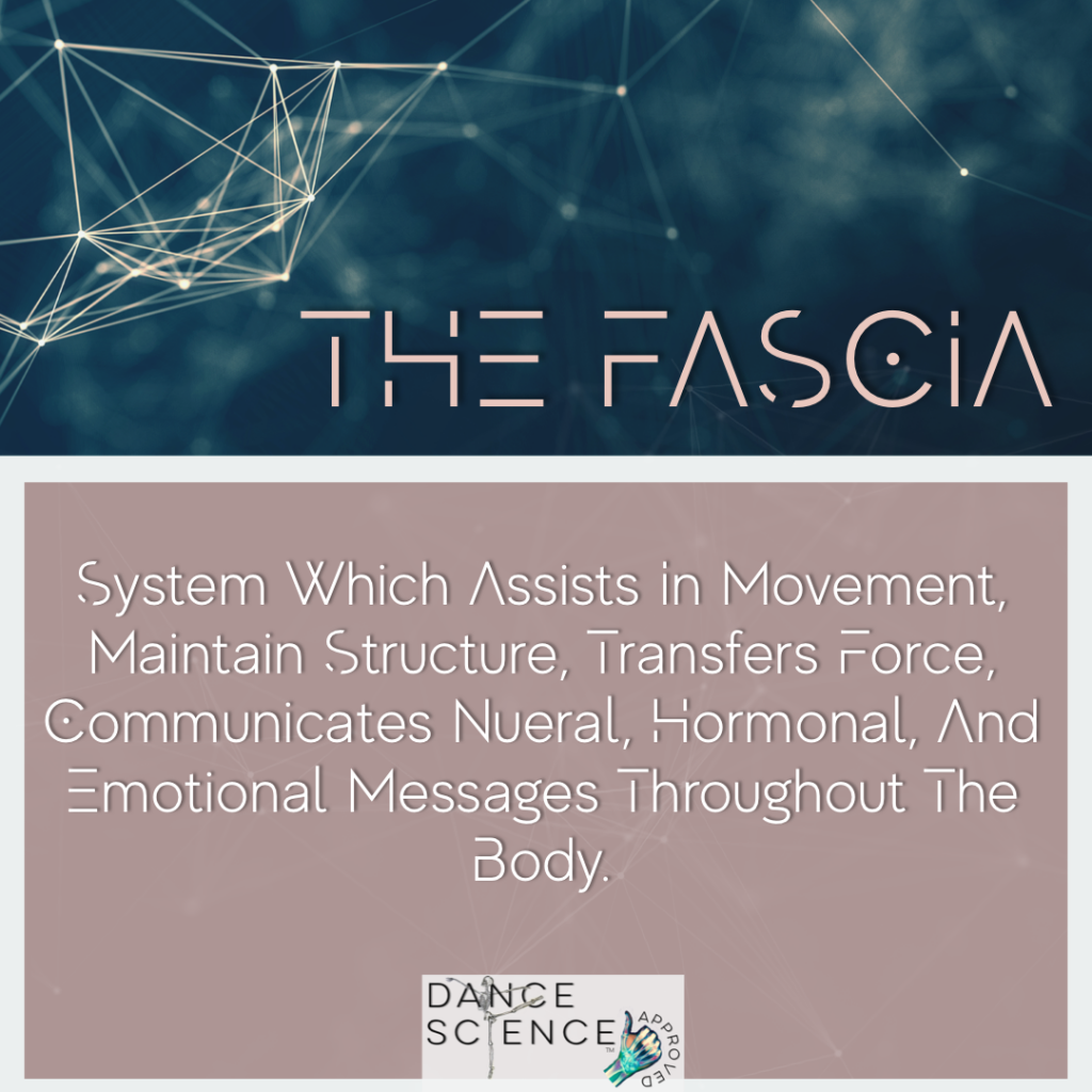 fascia is the system which assists in movement 
