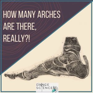 How many arches are there really? dancers desire high arches but what they really need are adaptable buoyant arches dance science approved journey to better feet
