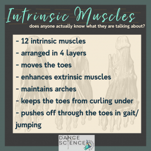 intrinsic muscles of the foot, dancers hear this a lot but what does it mean. 12 intrinsic muscles arranged in four layers which move the toes and keeps the toes from curling under dance science approved
journey to better feet