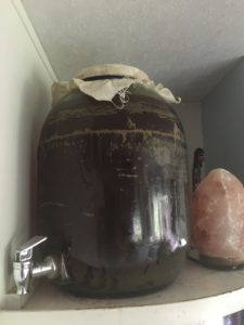 lacto-fermented food is included in healthy traditional diets